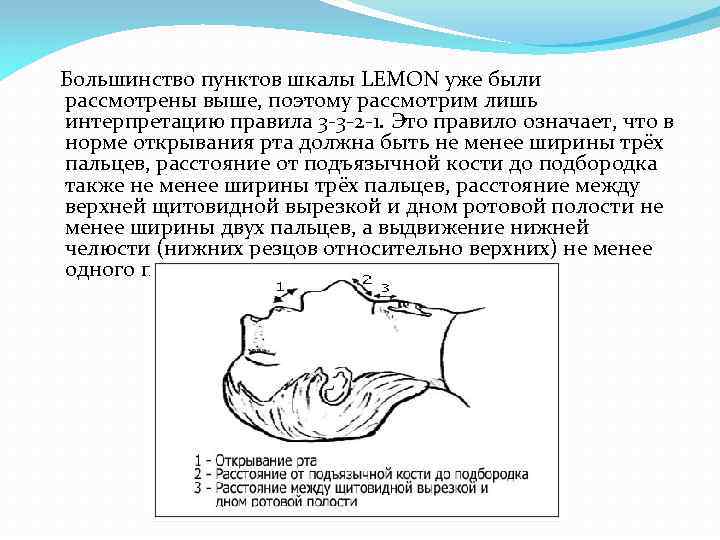  Большинство пунктов шкалы LEMON уже были рассмотрены выше, поэтому рассмотрим лишь интерпретацию правила