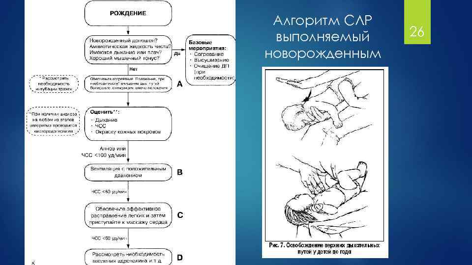 Сердечно легочная реанимация грудных. СЛР грудному ребенку алгоритм. Базовая СЛР новорожденного алгоритм. Этапы сердечно-легочной реанимации новорожденного. Алгоритм проведения сердечно-легочной реанимации младенцам..