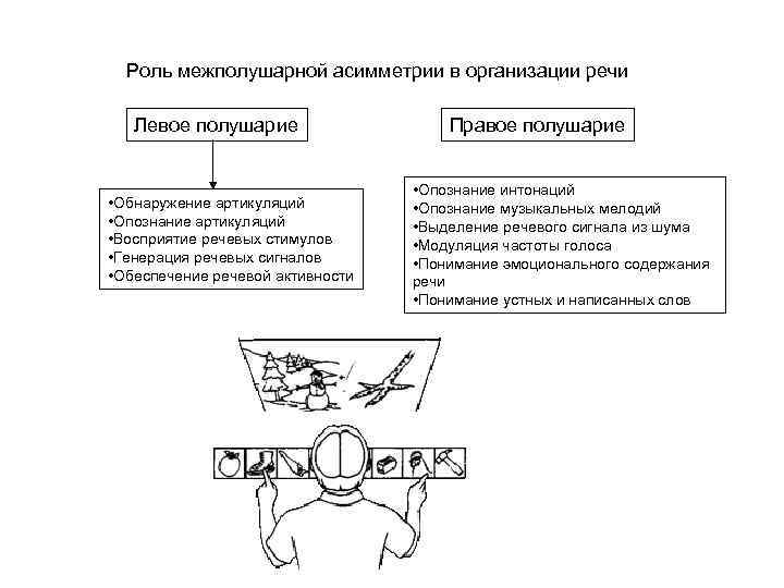 Роль межполушарной асимметрии в организации речи Левое полушарие • Обнаружение артикуляций • Опознание артикуляций