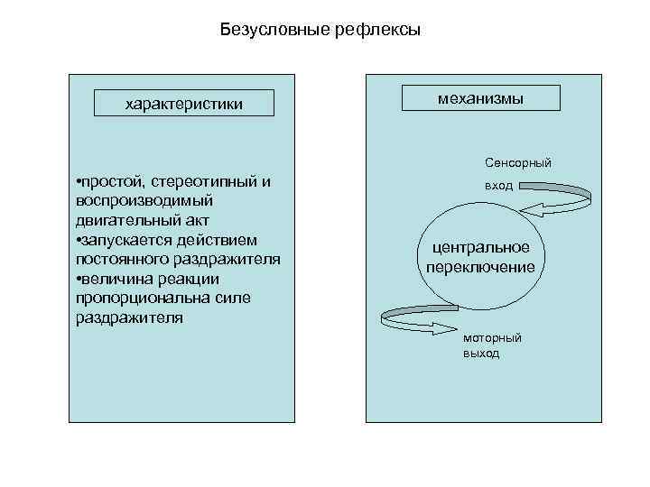 Безусловные рефлексы характеристики механизмы Сенсорный • простой, стереотипный и воспроизводимый двигательный акт • запускается