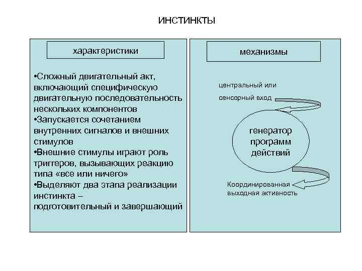 ИНСТИНКТЫ характеристики • Сложный двигательный акт, включающий специфическую двигательную последовательность нескольких компонентов • Запускается