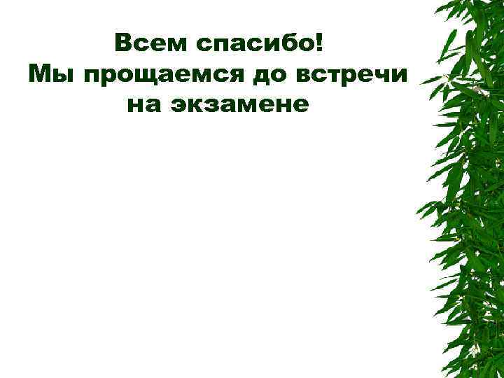 Всем спасибо! Мы прощаемся до встречи на экзамене 