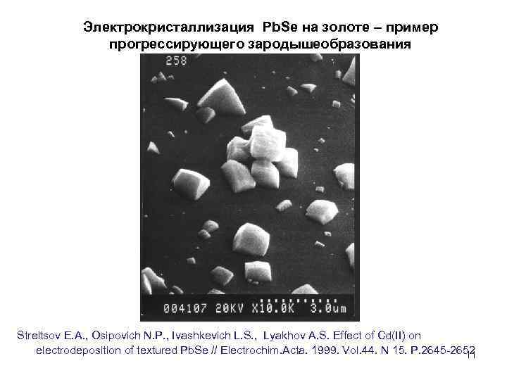 Электрокристаллизация Pb. Se на золоте – пример прогрессирующего зародышеобразования Streltsov E. A. , Osipovich