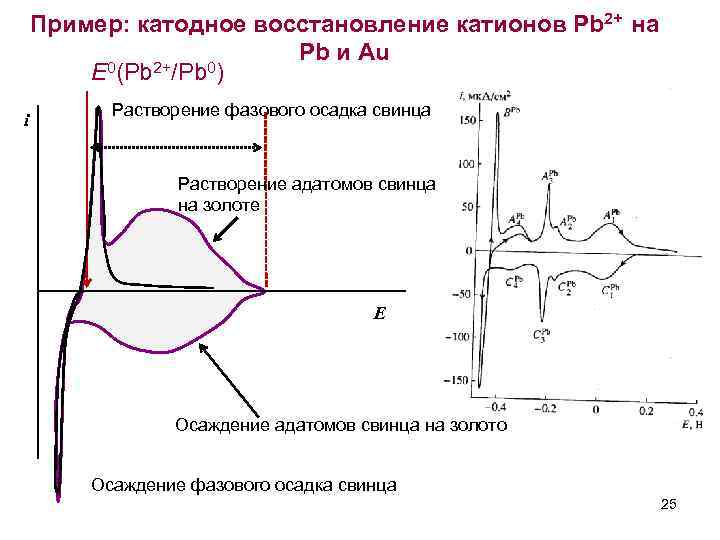 Пример: катодное восстановление катионов Pb 2+ на Pb и Au 0(Pb 2+/Pb 0) E