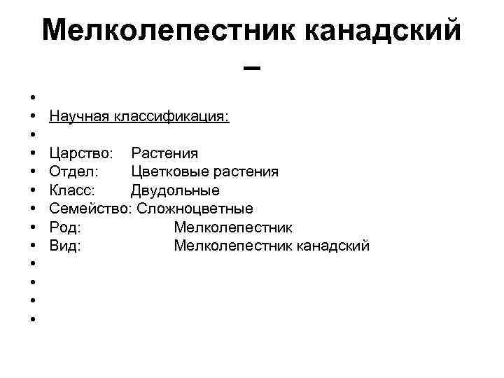 Мелколепестник канадский – • • • • Научная классификация: Царство: Растения Отдел: Цветковые растения