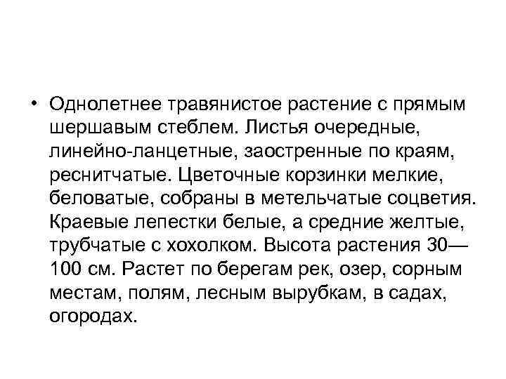  • Однолетнее травянистое растение с прямым шершавым стеблем. Листья очередные, линейно ланцетные, заостренные