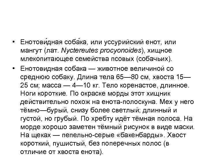  • Енотови дная соба ка, или уссурийский енот, или мангут (лат. Nyctereutes procyonoides),