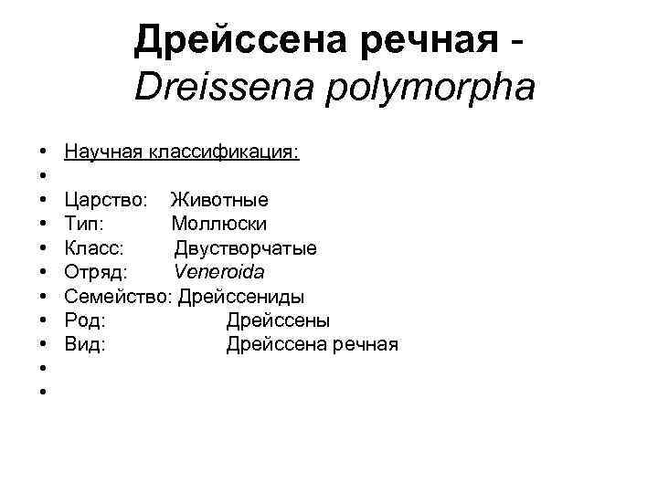 Дрейссена речная Dreissena polymorpha • • • Научная классификация: Царство: Животные Тип: Моллюски Класс:
