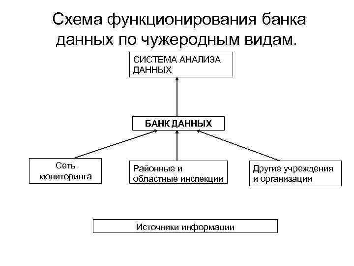  Схема функционирования банка данных по чужеродным видам. СИСТЕМА АНАЛИЗА ДАННЫХ БАНК ДАННЫХ Сеть