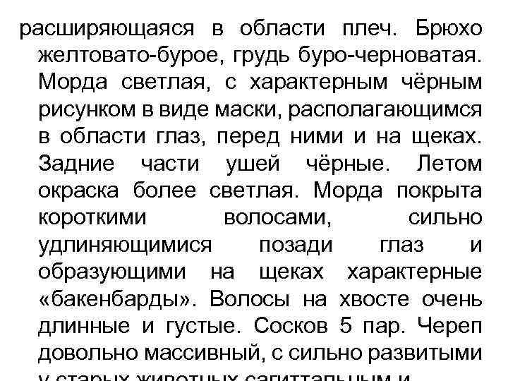 расширяющаяся в области плеч. Брюхо желтовато бурое, грудь буро черноватая. Морда светлая, с характерным