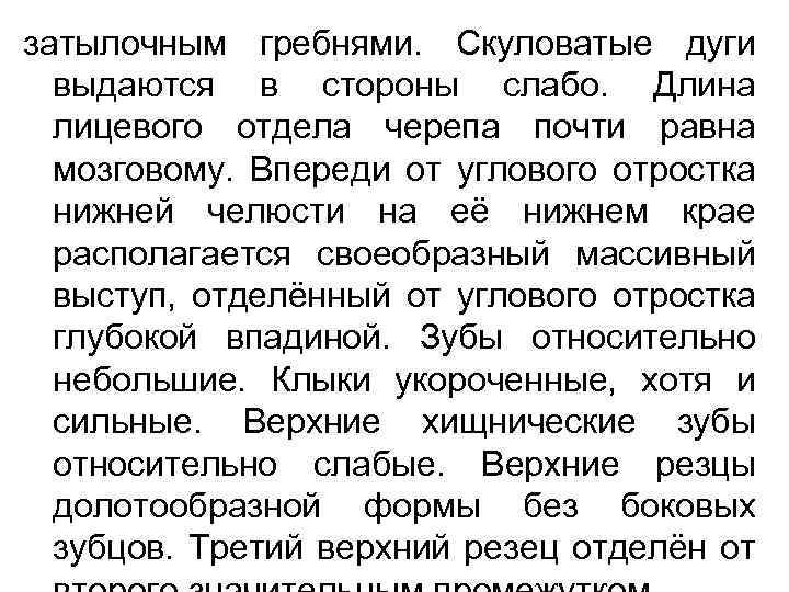 затылочным гребнями. Скуловатые дуги выдаются в стороны слабо. Длина лицевого отдела черепа почти равна