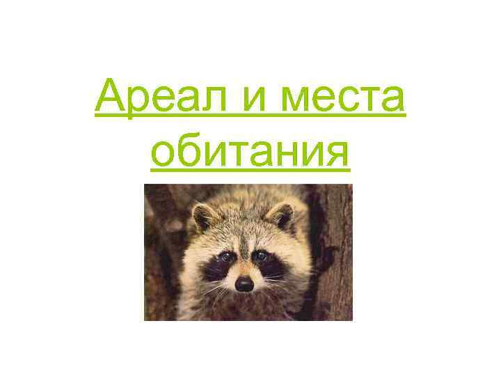 Ареал и места обитания 