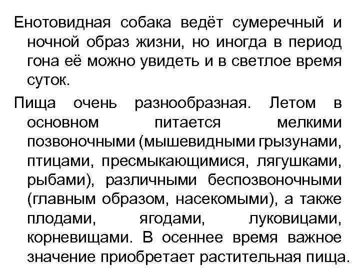Енотовидная собака ведёт сумеречный и ночной образ жизни, но иногда в период гона её
