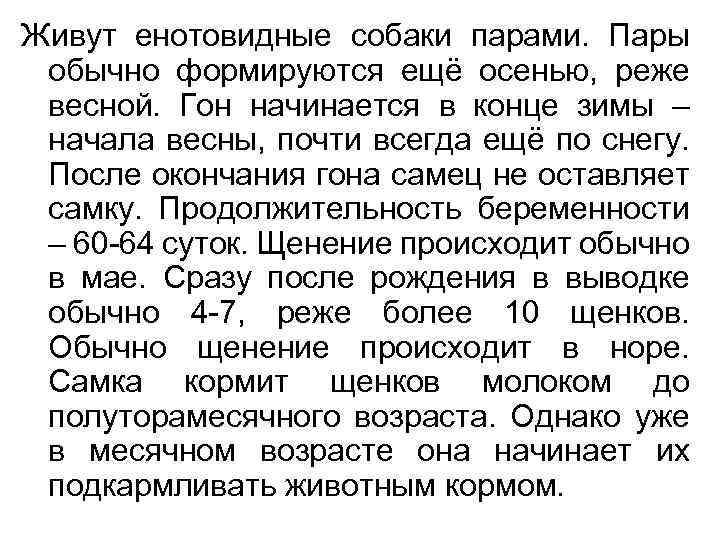 Живут енотовидные собаки парами. Пары обычно формируются ещё осенью, реже весной. Гон начинается в