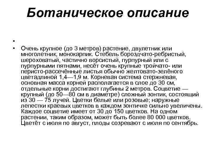Ботаническое описание • • Очень крупное (до 3 метров) растение, двулетник или многолетник, монокарпик.