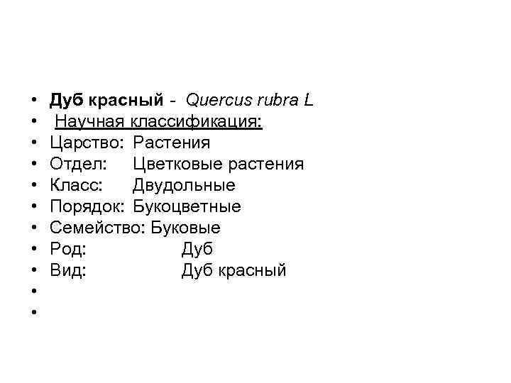  • • • Дуб красный Quercus rubra L Научная классификация: Царство: Растения Отдел: