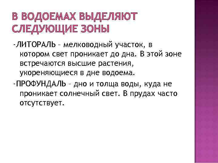 В ВОДОЕМАХ ВЫДЕЛЯЮТ СЛЕДУЮЩИЕ ЗОНЫ -ЛИТОРАЛЬ – мелководный участок, в котором свет проникает до