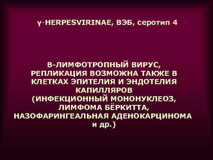 γ-HERPESVIRINAE, ВЭБ, серотип 4 B-ЛИМФОТРОПНЫЙ ВИРУС, РЕПЛИКАЦИЯ ВОЗМОЖНА ТАКЖЕ В КЛЕТКАХ ЭПИТЕЛИЯ И ЭНДОТЕЛИЯ