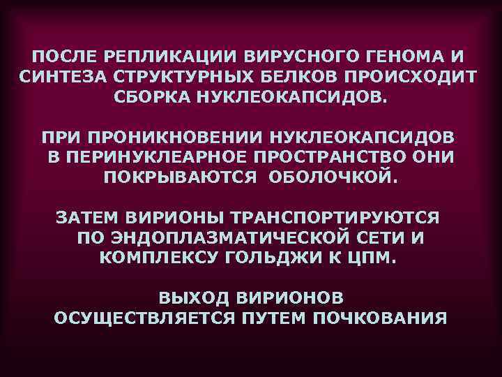 ПОСЛЕ РЕПЛИКАЦИИ ВИРУСНОГО ГЕНОМА И СИНТЕЗА СТРУКТУРНЫХ БЕЛКОВ ПРОИСХОДИТ СБОРКА НУКЛЕОКАПСИДОВ. ПРИ ПРОНИКНОВЕНИИ НУКЛЕОКАПСИДОВ