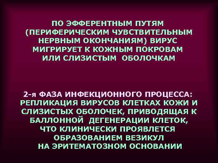 ПО ЭФФЕРЕНТНЫМ ПУТЯМ (ПЕРИФЕРИЧЕСКИМ ЧУВСТВИТЕЛЬНЫМ НЕРВНЫМ ОКОНЧАНИЯМ) ВИРУС МИГРИРУЕТ К КОЖНЫМ ПОКРОВАМ ИЛИ СЛИЗИСТЫМ