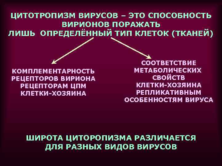 Рисунки различных форм вирионов