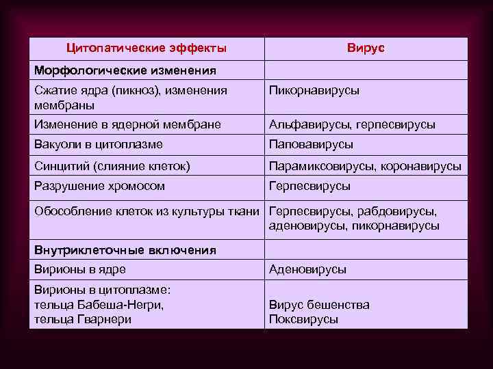 Цитопатические эффекты Вирус Морфологические изменения Сжатие ядра (пикноз), изменения мембраны Пикорнавирусы Изменение в ядерной