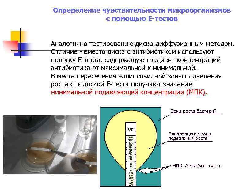 Методы определения чувствительности микроорганизмов к антибактериальным препаратам схема