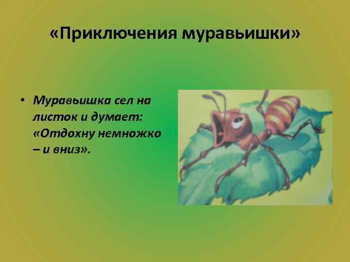  «Приключения муравьишки» • Муравьишка сел на листок и думает: «Отдохну немножко – и
