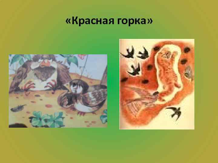  «Красная горка» 