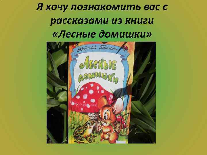 Я хочу познакомить вас с рассказами из книги «Лесные домишки» 