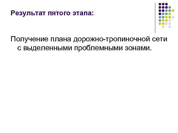 Результат пятого этапа: Получение плана дорожно-тропиночной сети с выделенными проблемными зонами. 