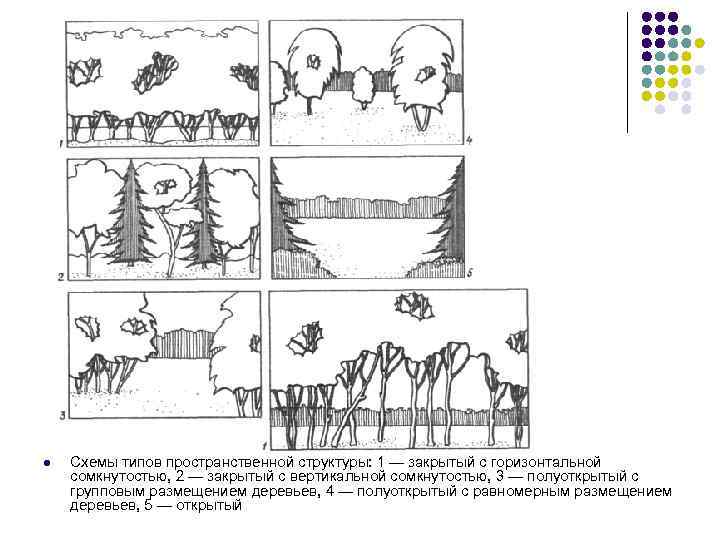 l Схемы типов пространственной структуры: 1 — закрытый с горизонтальной сомкнутостью, 2 — закрытый