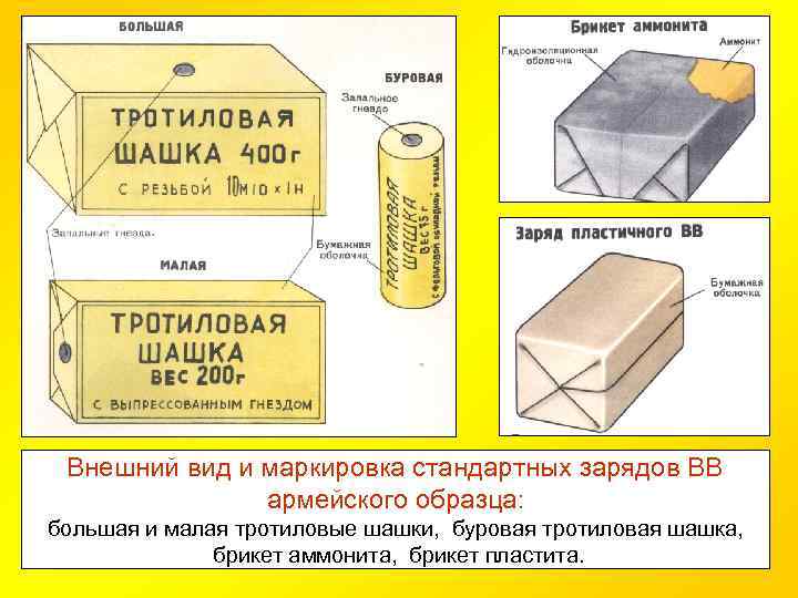 Пластид вещество