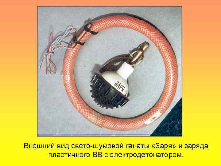 Внешний вид свето-шумовой ганаты «Заря» и заряда пластичного ВВ с электродетонатором. 