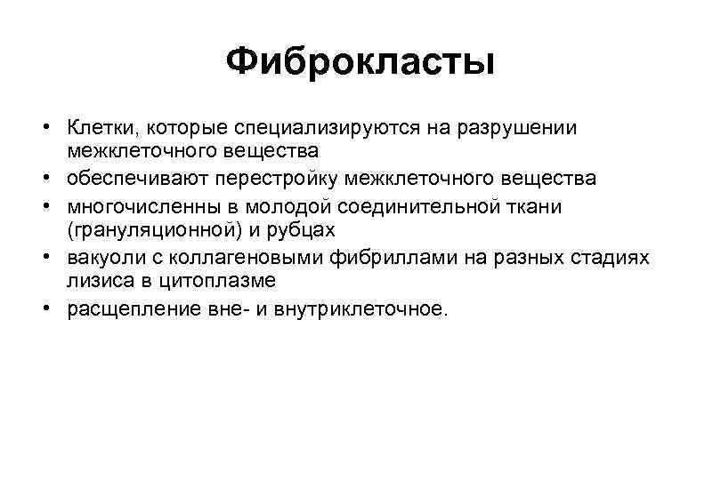Фиброкласты • Клетки, которые специализируются на разрушении межклеточного вещества • обеспечивают перестройку межклеточного вещества