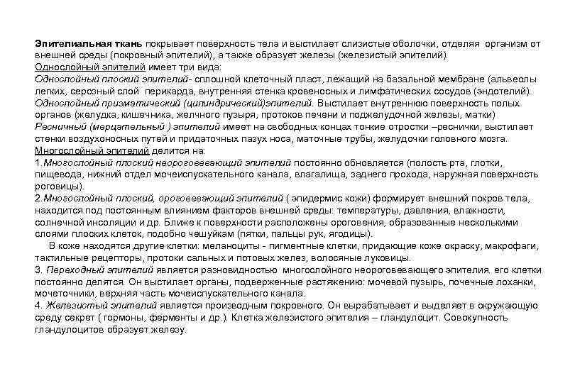 Эпителиальная ткань покрывает поверхность тела и выстилает слизистые оболочки, отделяя организм от внешней среды