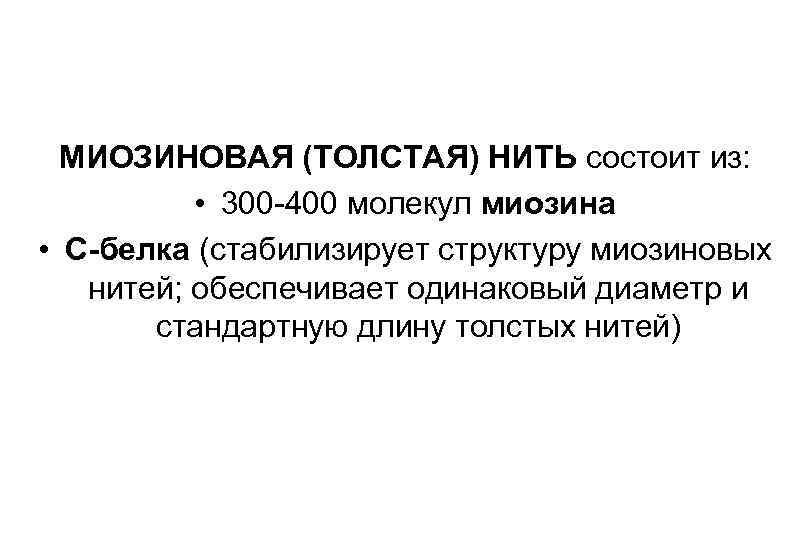 МИОЗИНОВАЯ (ТОЛСТАЯ) НИТЬ состоит из: • 300 -400 молекул миозина • С-белка (стабилизирует структуру