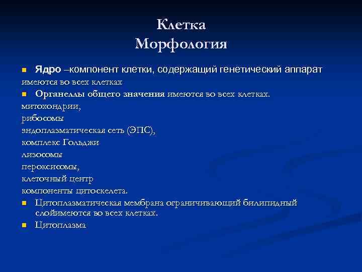 Клетка Морфология Ядро –компонент клетки, содержащий генетический аппарат имеются во всех клетках n Органеллы