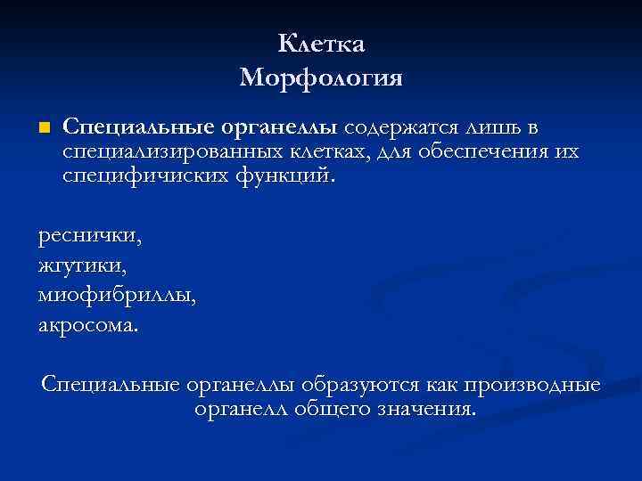 Клетка Морфология n Специальные органеллы содержатся лишь в специализированных клетках, для обеспечения их специфичиских