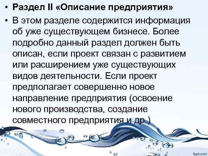  • Раздел II «Описание предприятия» • В этом разделе содержится информация об уже