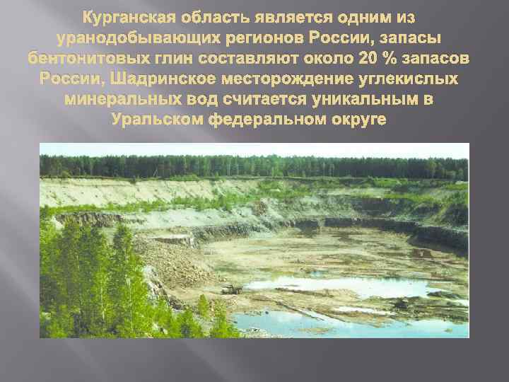 Курганская область является одним из уранодобывающих регионов России, запасы бентонитовых глин составляют около 20