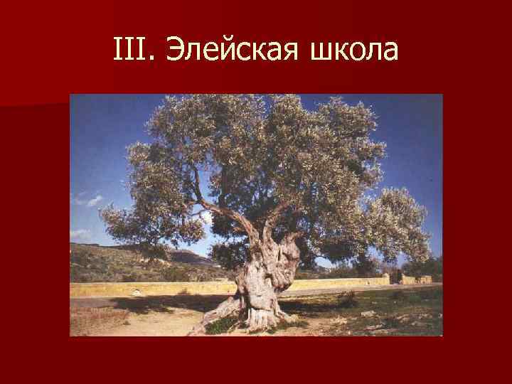 III. Элейская школа 