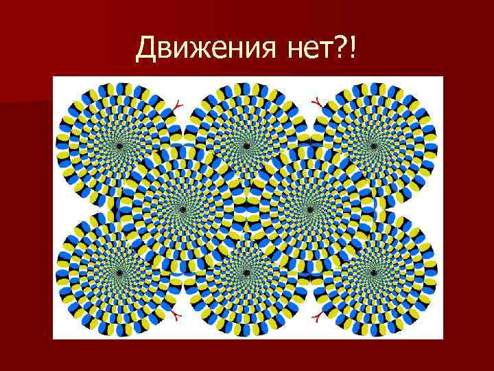 Движения нет? ! 