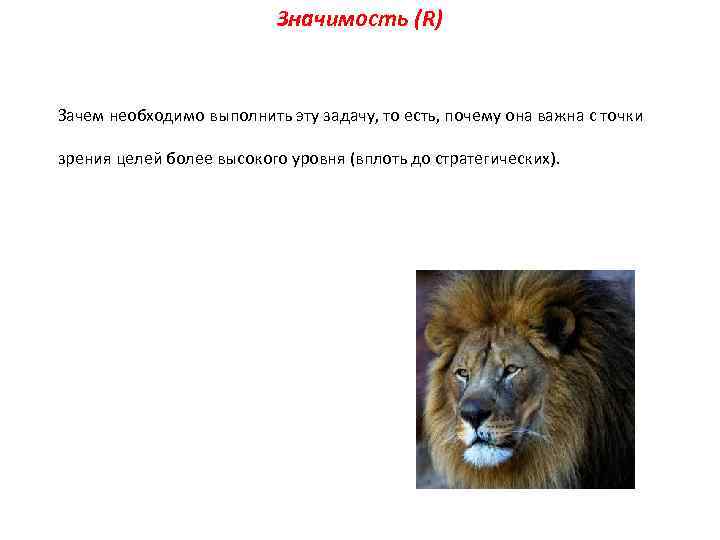Значимость (R) Зачем необходимо выполнить эту задачу, то есть, почему она важна с точки