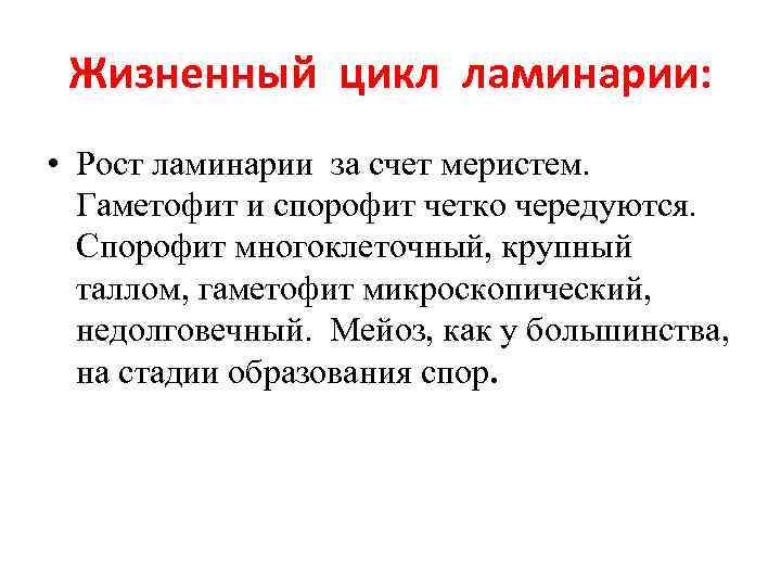 Жизненный цикл ламинарии: • Рост ламинарии за счет меристем. Гаметофит и спорофит четко чередуются.