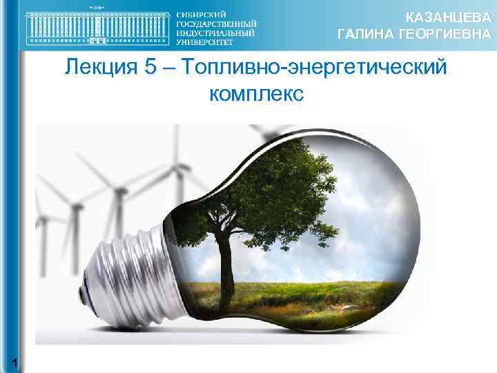 КАЗАНЦЕВА ГАЛИНА ГЕОРГИЕВНА Лекция 5 – Топливно-энергетический комплекс 1 