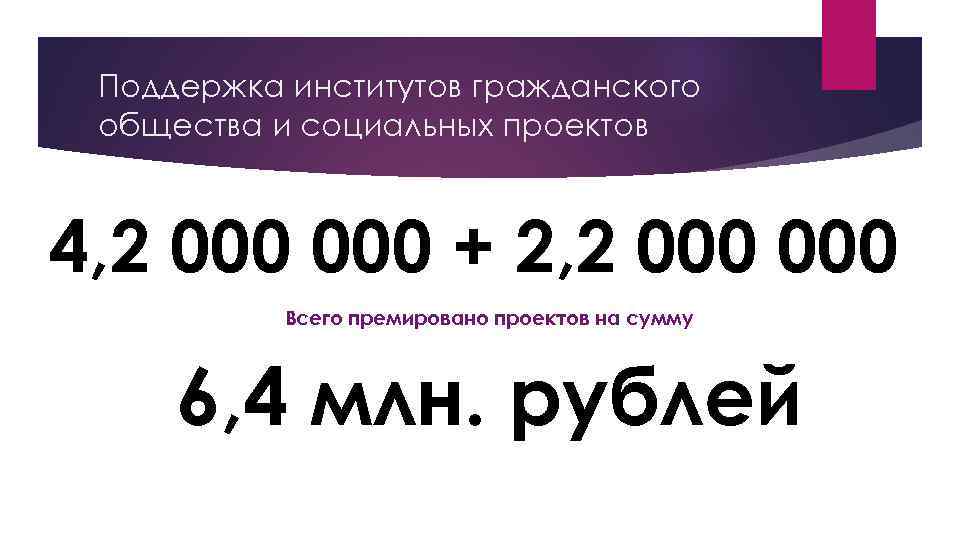 Поддержка институтов гражданского общества и социальных проектов 4, 2 000 + 2, 2 000