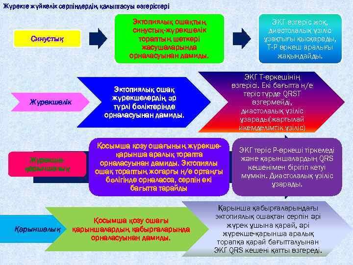 Жүректе жүйкелік серпіндердің қалыптасуы өзгерістері Синустық Жүрекшелік Жүрекшеқарыншалық Қарыншалық Эктопиялық ошақтың синустық-жүрекшелік тораптың шеткері