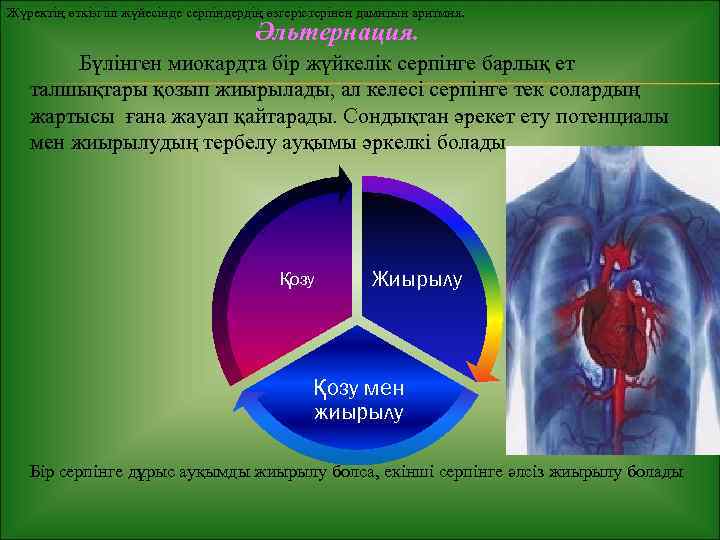 Жүректің өткізгіш жүйесінде серпіндердің өзгерістерінен дамитын аритмия. Әльтернация. Бүлінген миокардта бір жүйкелік серпінге барлық
