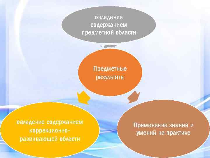 овладение содержанием предметной области Предметные результаты овладение содержанием коррекционноразвивающей области Применение знаний и умений